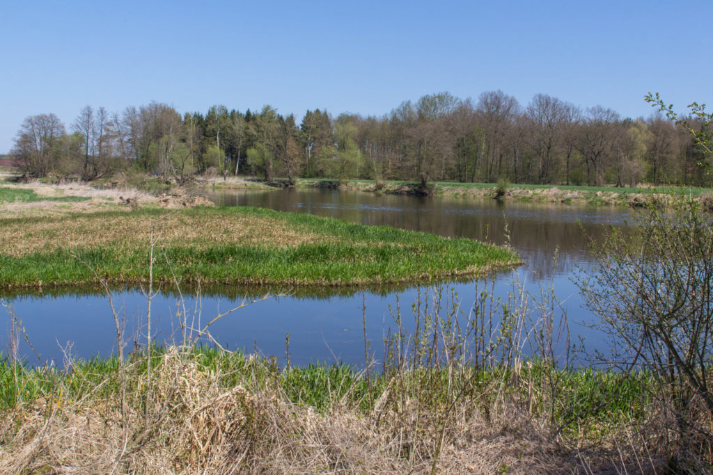 The river naab next to Schwandorf in bavaria in spring