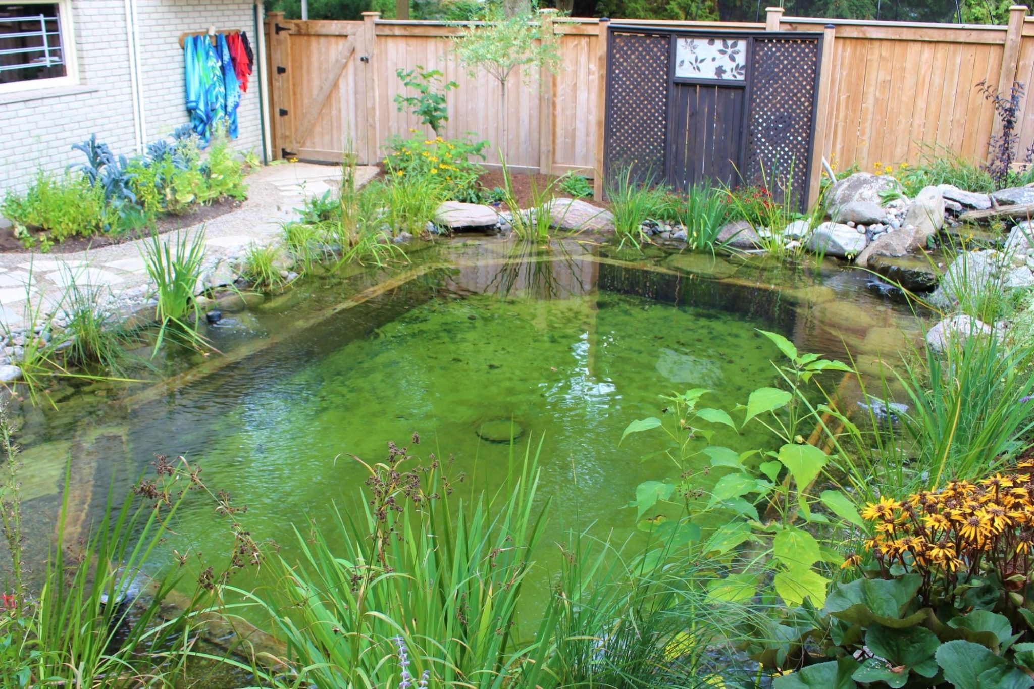 5 Ways to Avoid the Most Common Koi Pond Building Mistakes - Quiet Nature