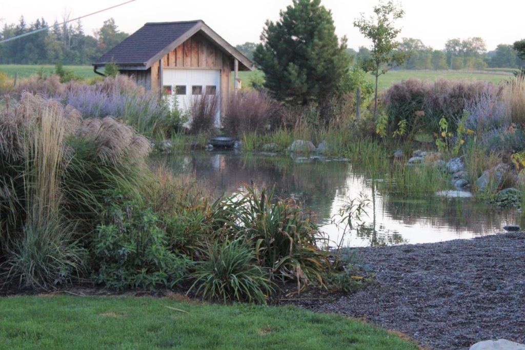 backyard recreation pond