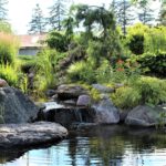 How to Create a Backyard Oasis