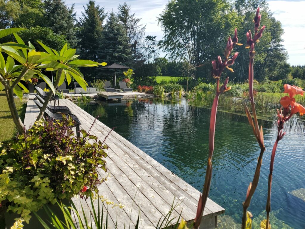 Resort-Style Natural Swimming Pool