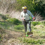 Garden strimmer being used to clear a patch of weeds