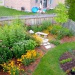low-maintenance-native-plants-and-vegetable-garden